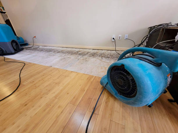 Professional Flood Damage Cleanup technician working in Eau Galle, WI